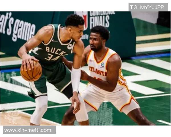 老鹰与鹈鹄对决前瞻分析及胜负预测探讨